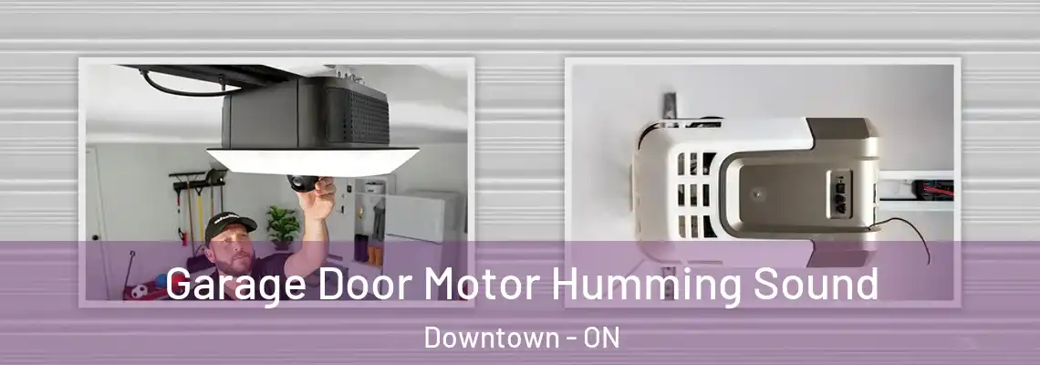 Garage Door Motor Humming Sound Downtown - ON