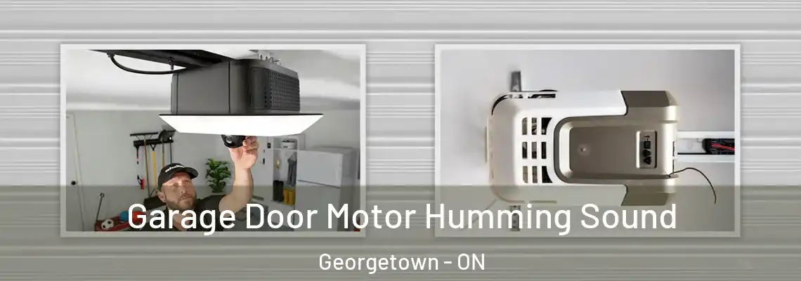 Garage Door Motor Humming Sound Georgetown - ON