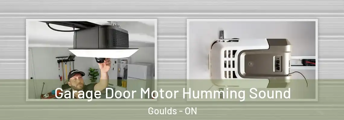 Garage Door Motor Humming Sound Goulds - ON
