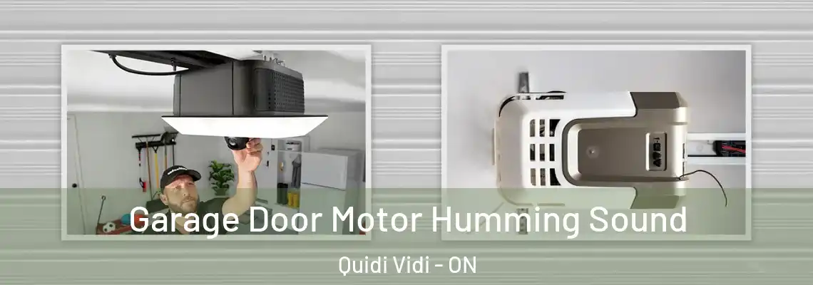 Garage Door Motor Humming Sound Quidi Vidi - ON