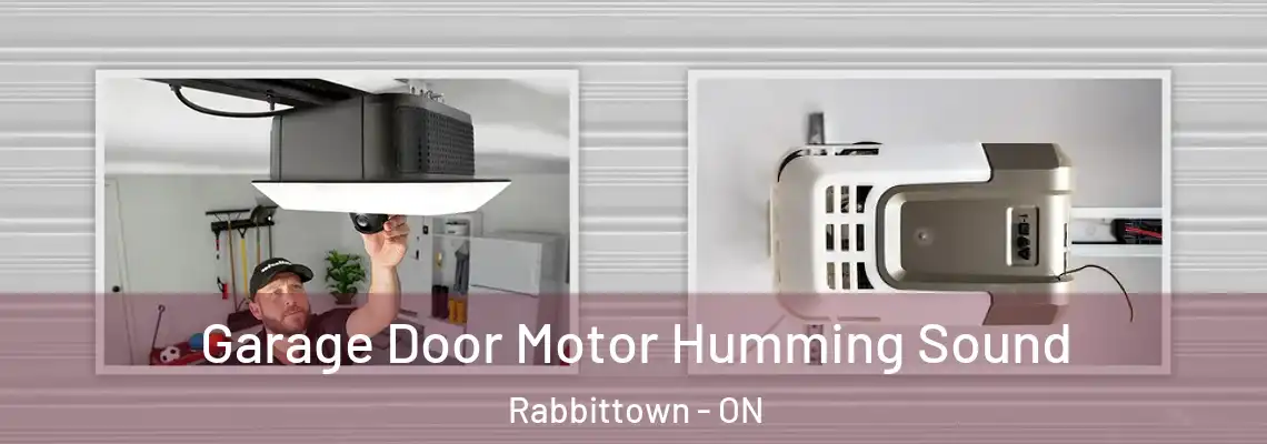 Garage Door Motor Humming Sound Rabbittown - ON