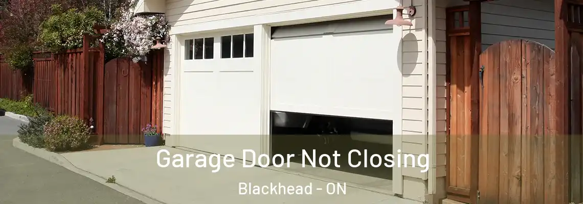 Garage Door Not Closing Blackhead - ON
