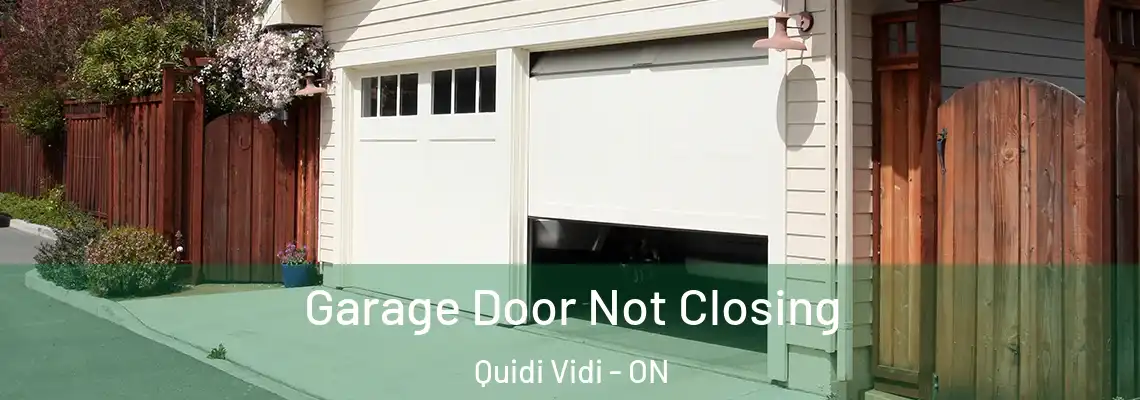 Garage Door Not Closing Quidi Vidi - ON