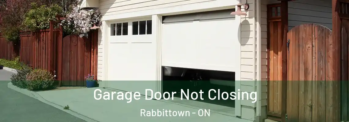 Garage Door Not Closing Rabbittown - ON