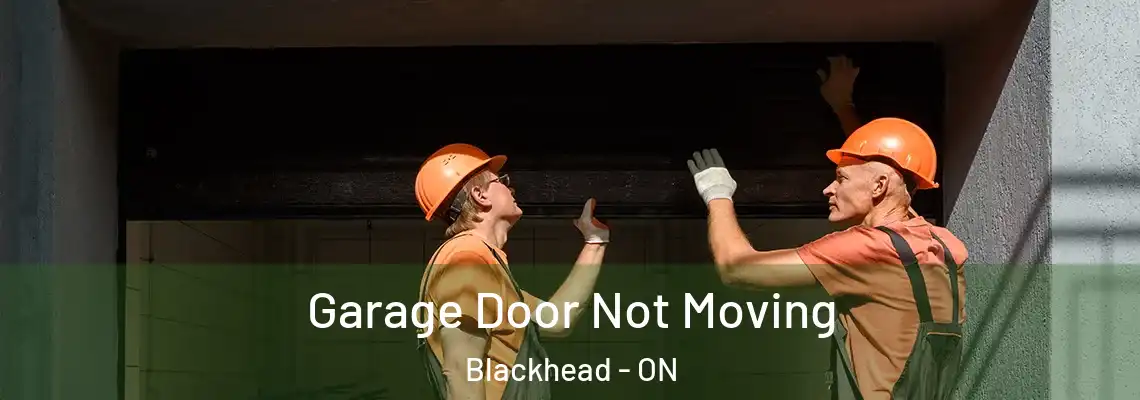 Garage Door Not Moving Blackhead - ON