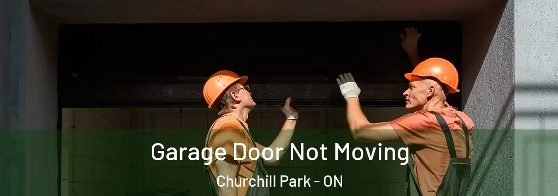 Garage Door Not Moving Churchill Park - ON