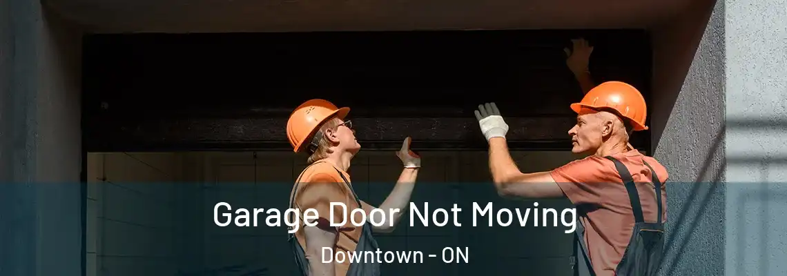 Garage Door Not Moving Downtown - ON