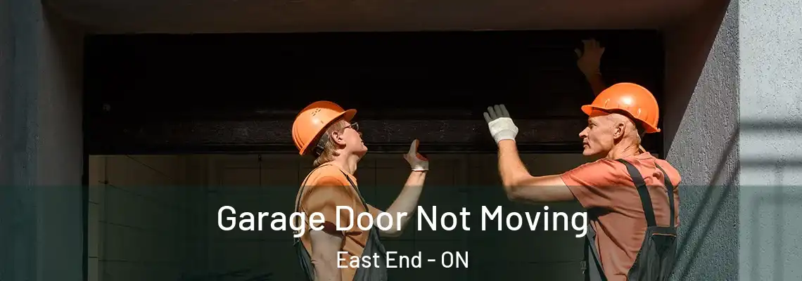 Garage Door Not Moving East End - ON