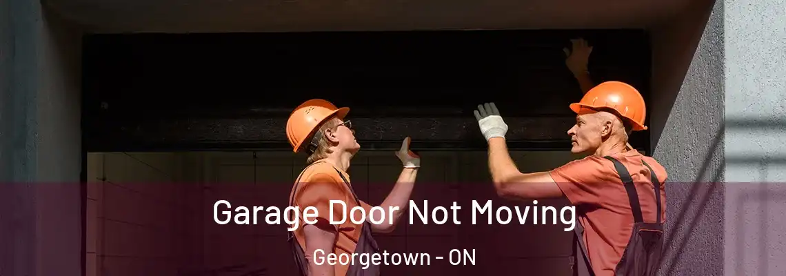 Garage Door Not Moving Georgetown - ON