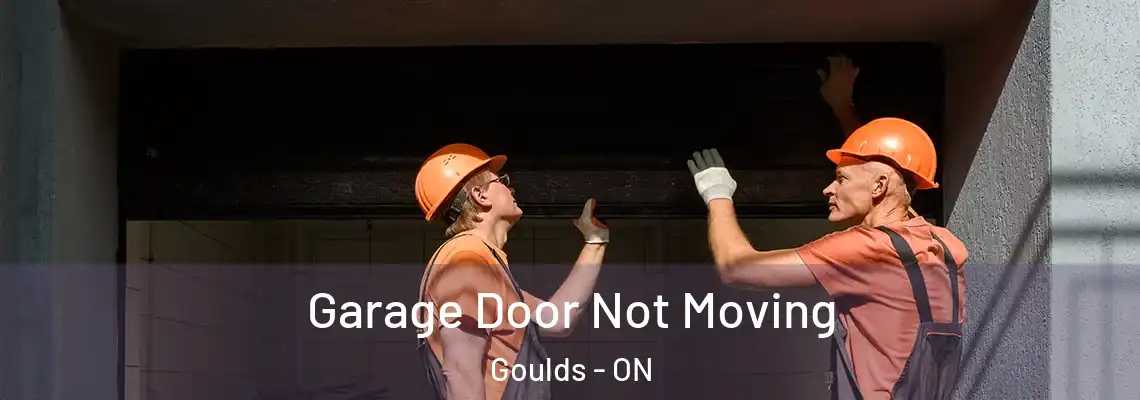 Garage Door Not Moving Goulds - ON