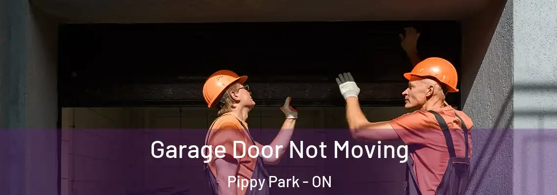 Garage Door Not Moving Pippy Park - ON