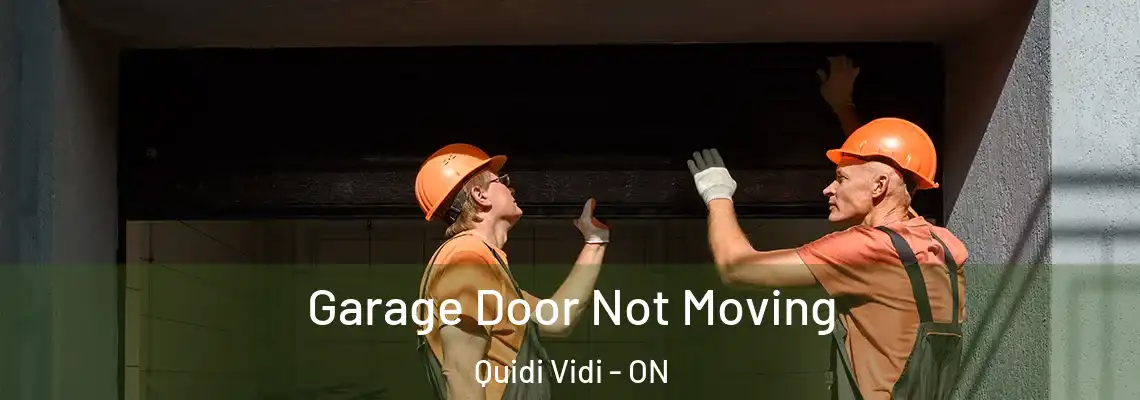 Garage Door Not Moving Quidi Vidi - ON