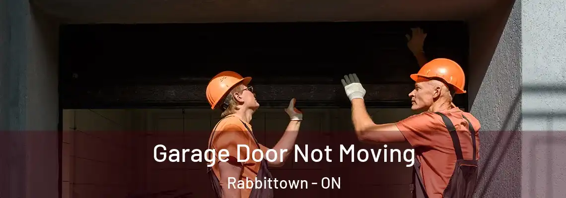 Garage Door Not Moving Rabbittown - ON