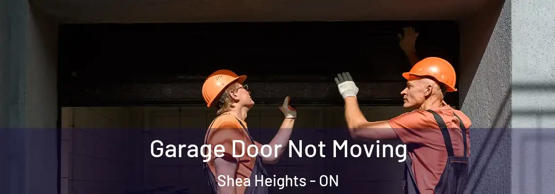 Garage Door Not Moving Shea Heights - ON