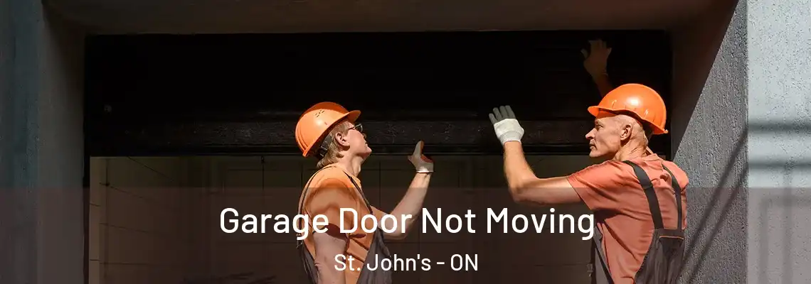 Garage Door Not Moving St. John's - ON