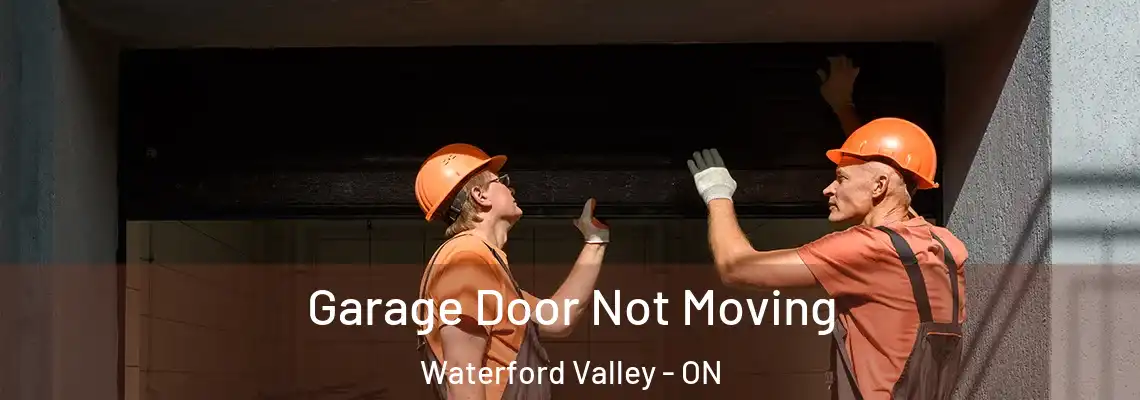 Garage Door Not Moving Waterford Valley - ON