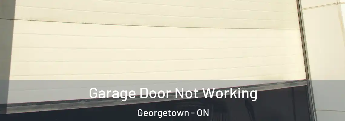 Garage Door Not Working Georgetown - ON