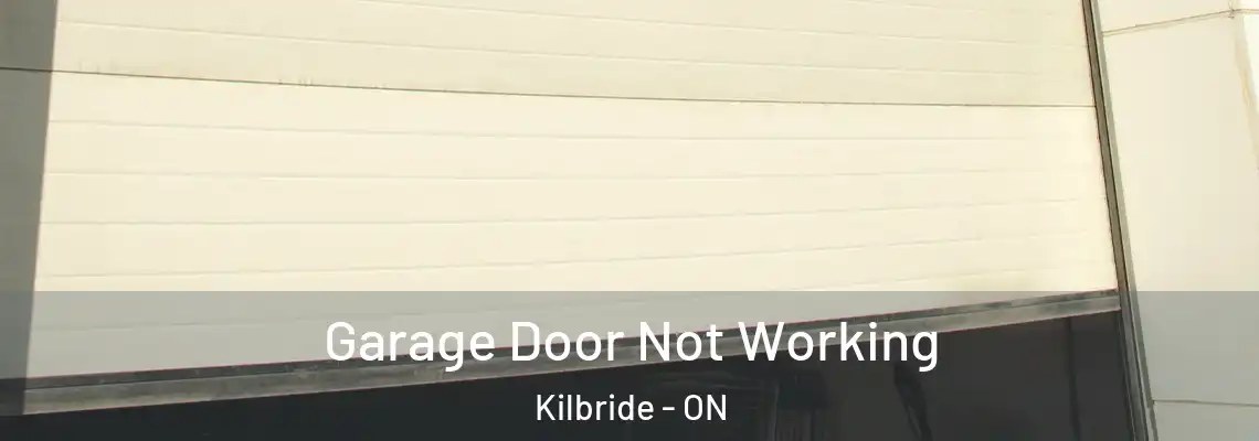 Garage Door Not Working Kilbride - ON