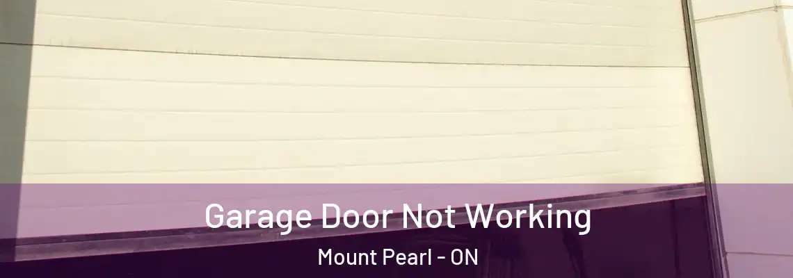 Garage Door Not Working Mount Pearl - ON