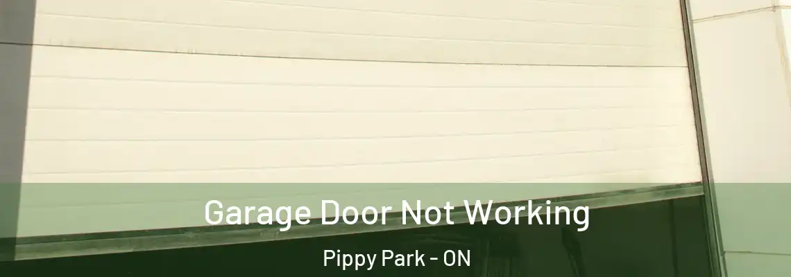 Garage Door Not Working Pippy Park - ON