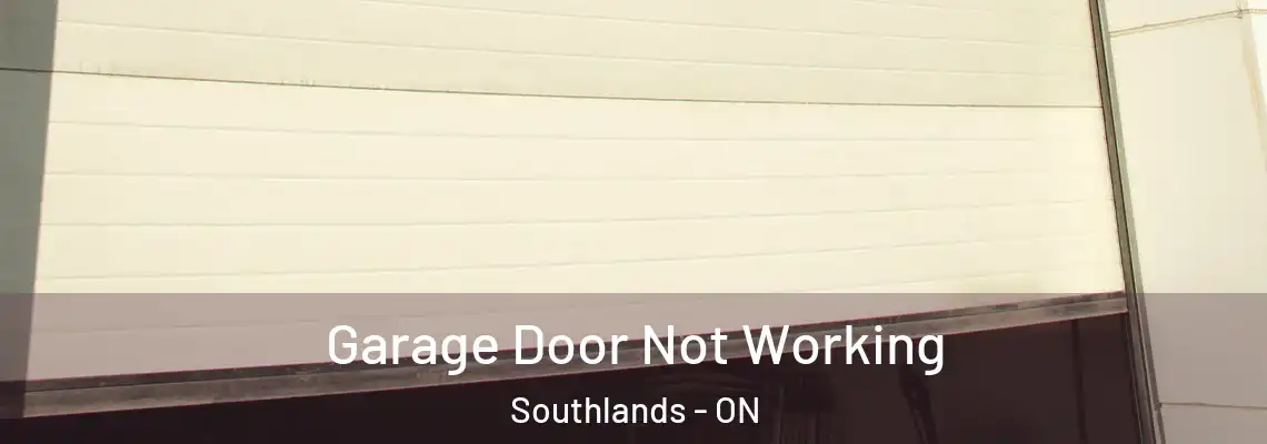 Garage Door Not Working Southlands - ON