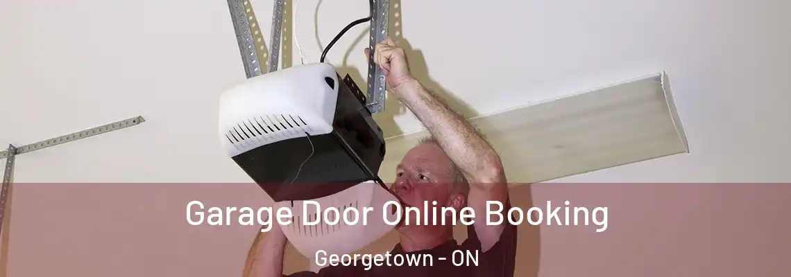 Garage Door Online Booking Georgetown - ON