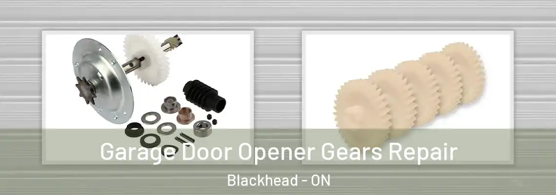 Garage Door Opener Gears Repair Blackhead - ON