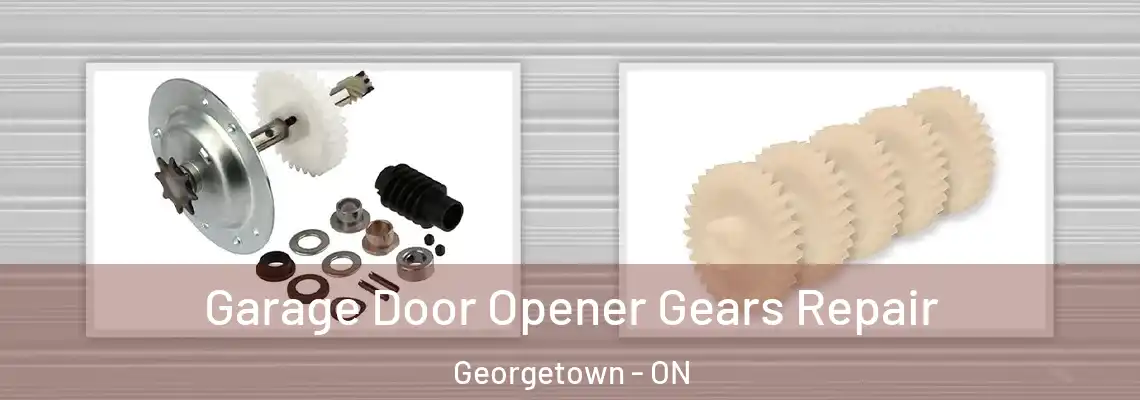 Garage Door Opener Gears Repair Georgetown - ON