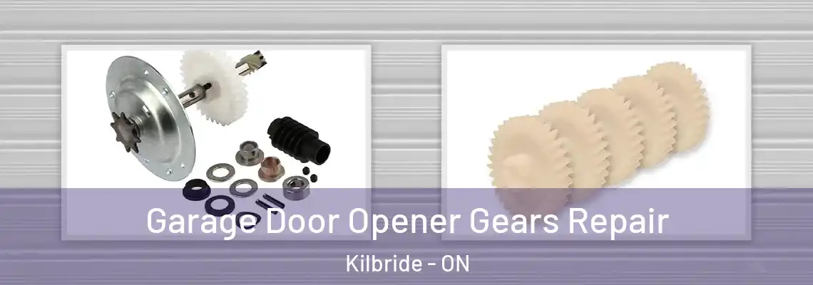 Garage Door Opener Gears Repair Kilbride - ON
