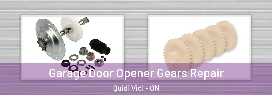 Garage Door Opener Gears Repair Quidi Vidi - ON