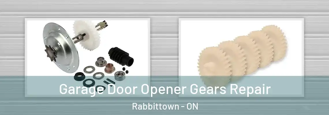 Garage Door Opener Gears Repair Rabbittown - ON