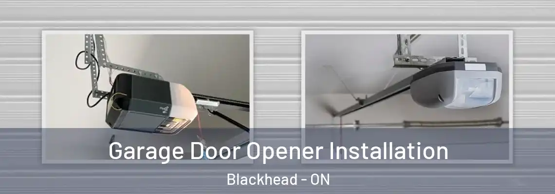 Garage Door Opener Installation Blackhead - ON