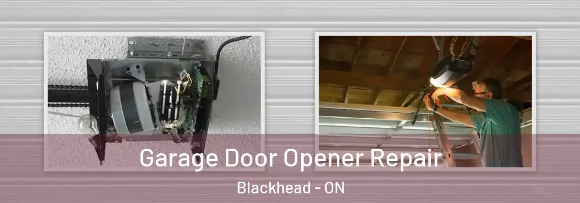 Garage Door Opener Repair Blackhead - ON
