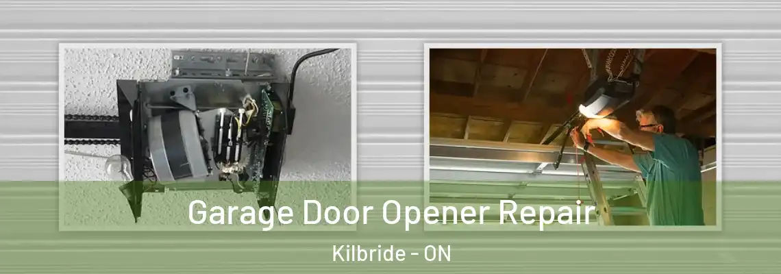Garage Door Opener Repair Kilbride - ON