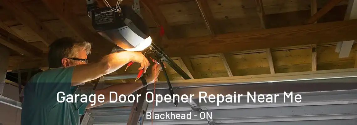 Garage Door Opener Repair Near Me Blackhead - ON