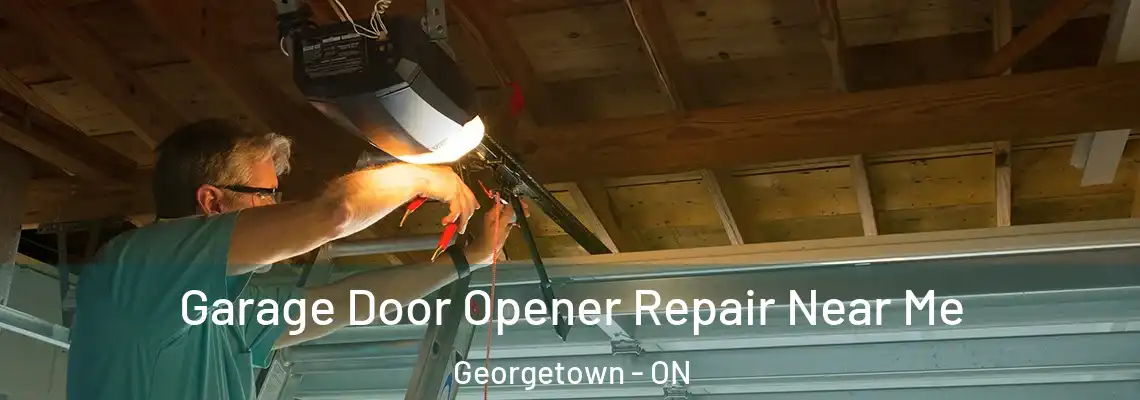 Garage Door Opener Repair Near Me Georgetown - ON