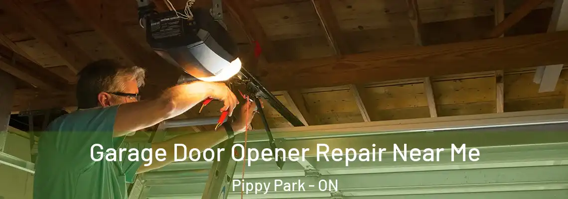 Garage Door Opener Repair Near Me Pippy Park - ON