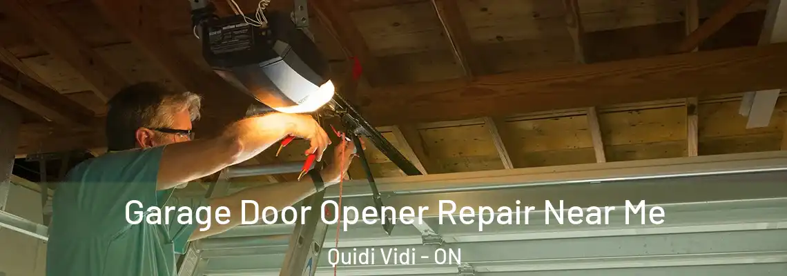 Garage Door Opener Repair Near Me Quidi Vidi - ON