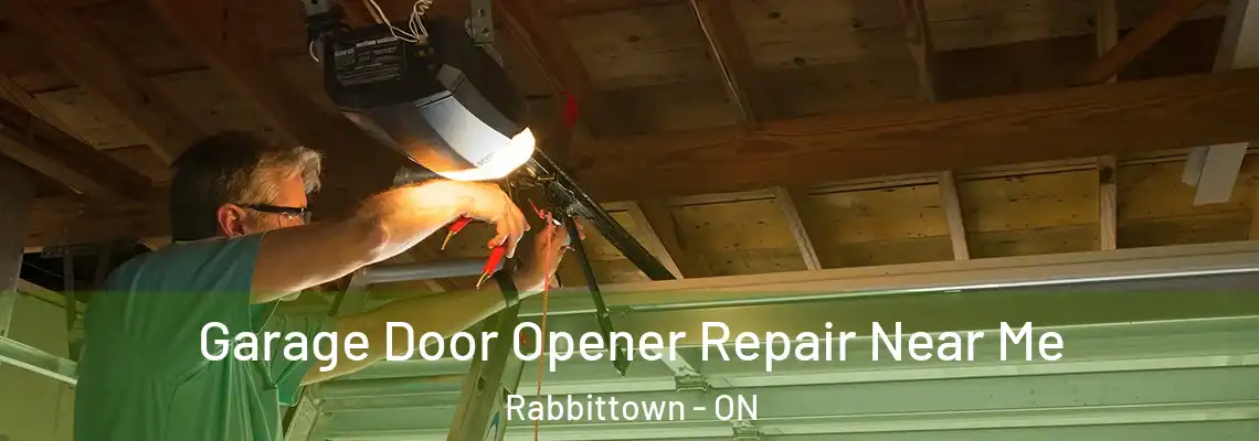 Garage Door Opener Repair Near Me Rabbittown - ON