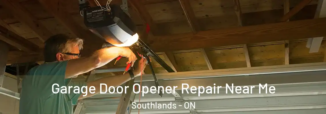 Garage Door Opener Repair Near Me Southlands - ON