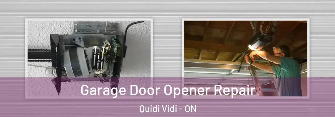 Garage Door Opener Repair Quidi Vidi - ON