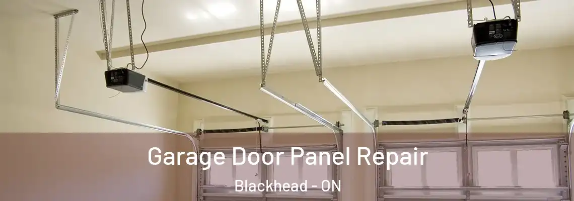Garage Door Panel Repair Blackhead - ON