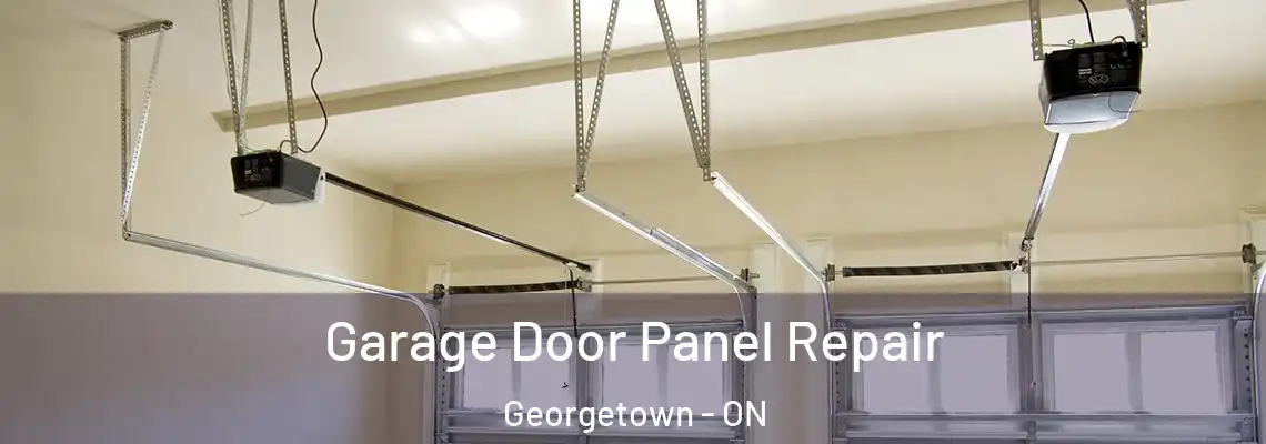 Garage Door Panel Repair Georgetown - ON