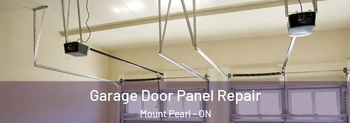 Garage Door Panel Repair Mount Pearl - ON