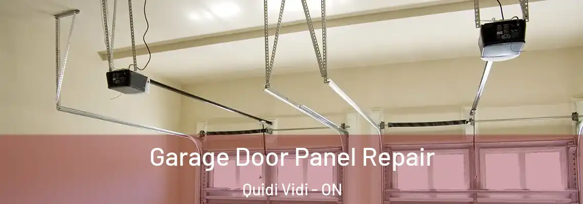 Garage Door Panel Repair Quidi Vidi - ON