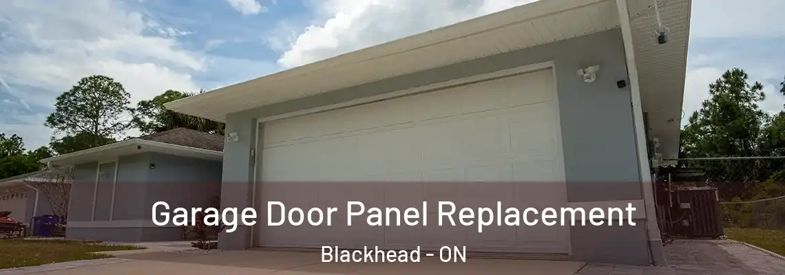 Garage Door Panel Replacement Blackhead - ON