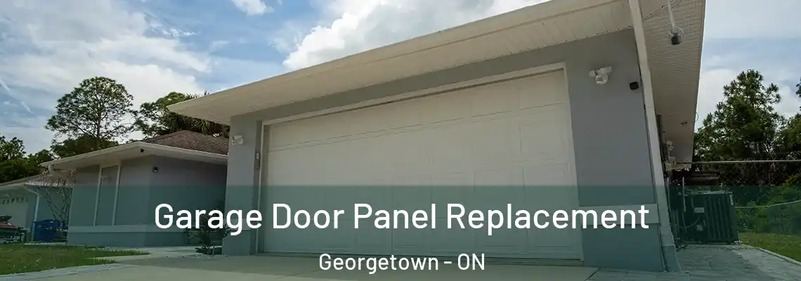 Garage Door Panel Replacement Georgetown - ON