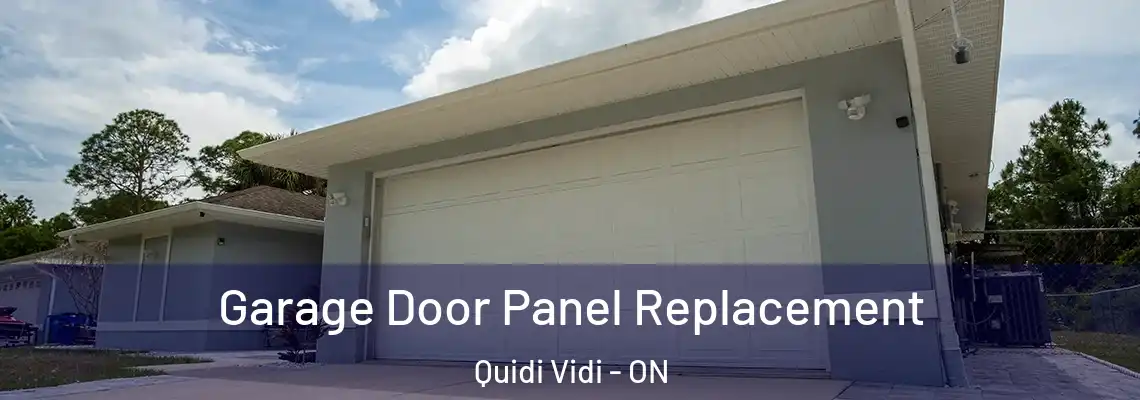 Garage Door Panel Replacement Quidi Vidi - ON