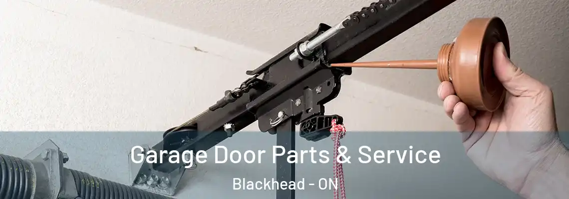 Garage Door Parts & Service Blackhead - ON