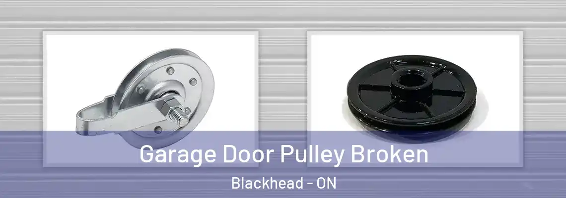 Garage Door Pulley Broken Blackhead - ON